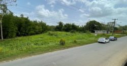 Guaracara Tabaquite Main Road Land for Sale