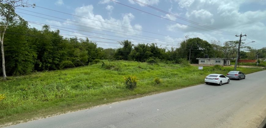 Guaracara Tabaquite Main Road Land for Sale